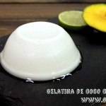 Gelatina de coco con mango y lima