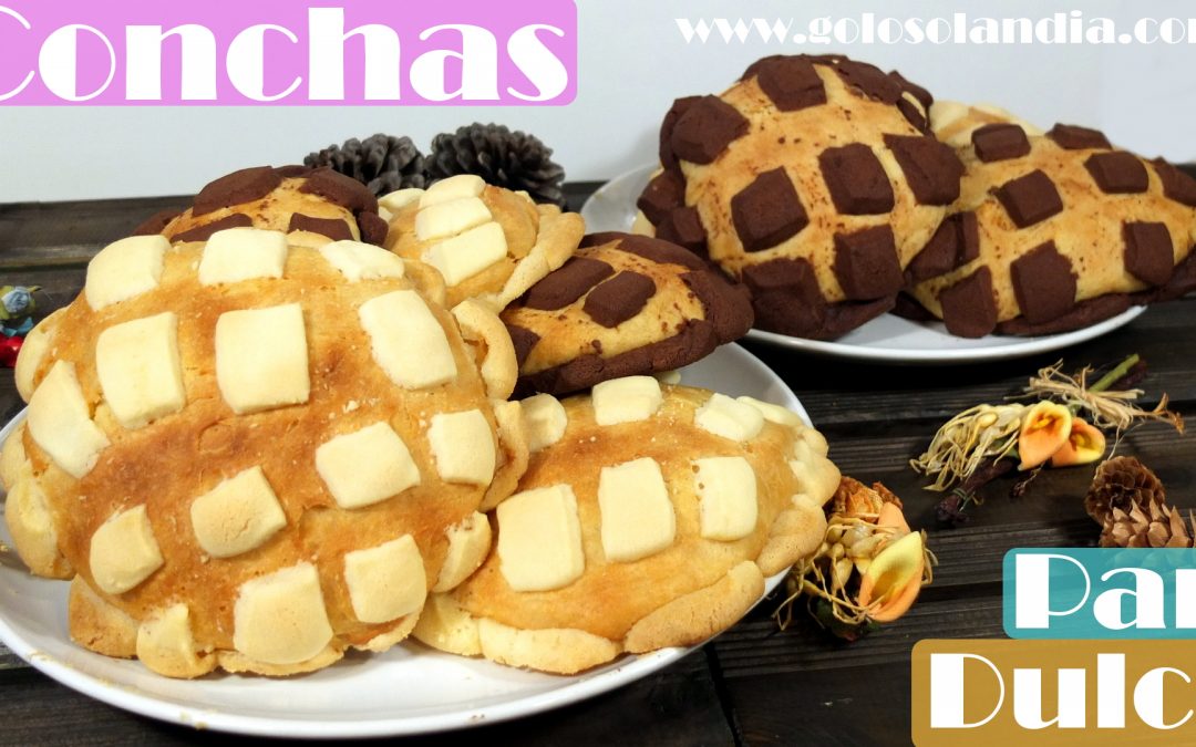 Conchas Mexicanas, pan dulce blancas y de chocolate